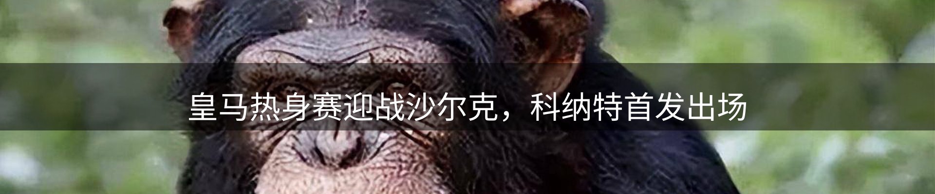 品牌资讯