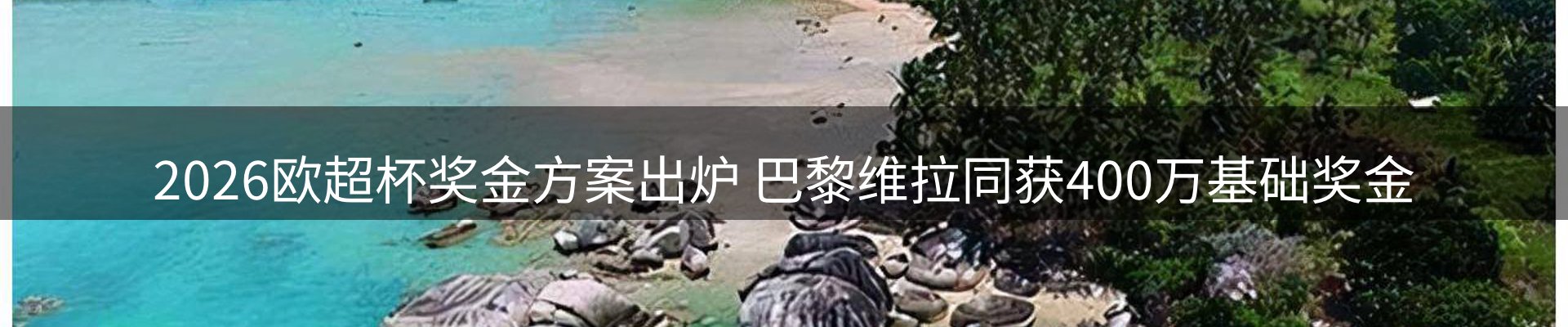 品牌资讯