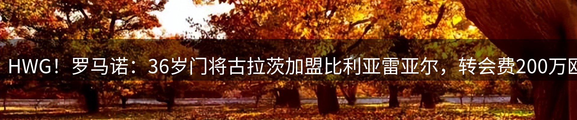 品牌资讯