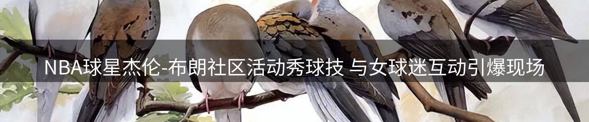 品牌资讯